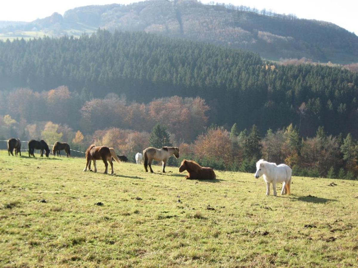 Ferienhaus Rhoenspass Mosbach  Екстер'єр фото
